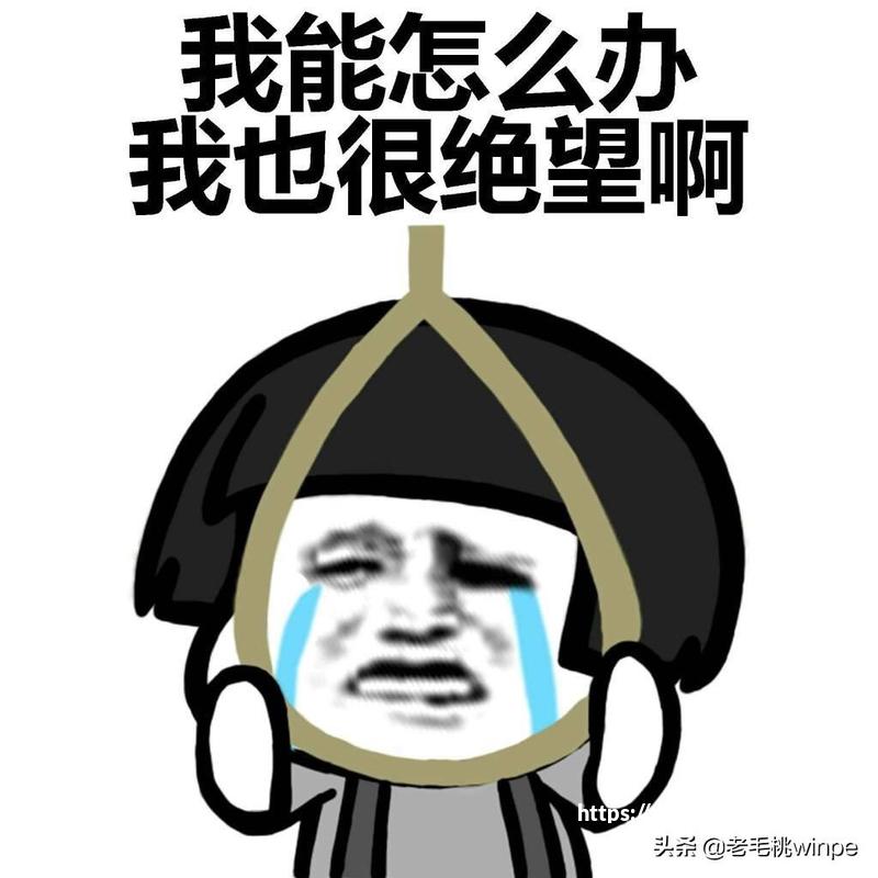 北京车展将上市重点轿车汇总 全新大众迈腾/比亚迪秦L等领衔阵容